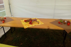 Herbstfest-2019-11