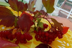 Herbstfest-2019-14