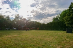 Hundeplatz-2019-1