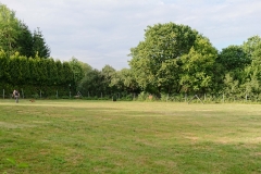 Hundeplatz-2019-10