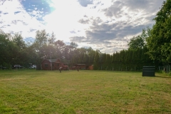 Hundeplatz-2019-2