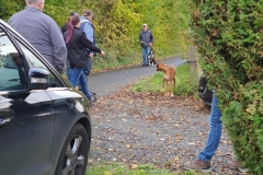Pruefung-2019-11