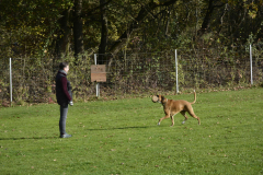 BK-Girod_Pruefungstag_06.11.2022-1145