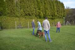 BK-Girod_Pruefungstag_06.11.2022-1242