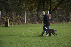 BK-Girod_Pruefungstag_06.11.2022-1323