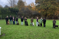 IMG-20251103-WA00141