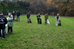 IMG-20251103-WA0017