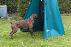 Screenshot_20251104_132300_Gallery