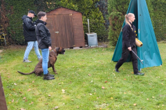 Screenshot_20251104_132318_Gallery