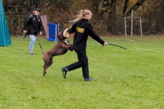 Screenshot_20251104_132338_Gallery