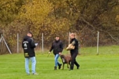 Screenshot_20251104_132421_Gallery