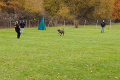 Screenshot_20251104_132437_Gallery