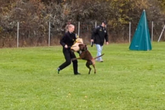 Screenshot_20251104_132451_Gallery