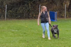 Screenshot_20251104_132750_Gallery