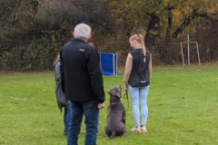 Screenshot_20251104_132949_Gallery