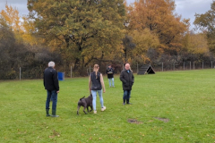 Screenshot_20251104_133002_Gallery