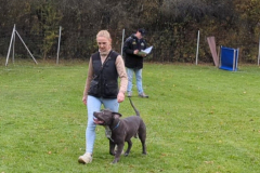 Screenshot_20251104_133038_Gallery