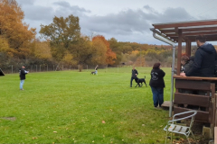 Screenshot_20251104_133052_Gallery