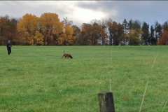 Screenshot_20251104_133355_Gallery