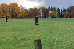 Screenshot_20251104_133414_Gallery