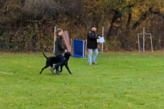 Screenshot_20251104_133714_Photos