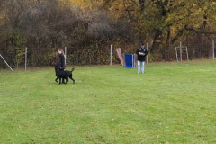 Screenshot_20251104_133735_Photos