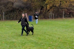 Screenshot_20251104_133831_Photos