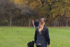 Screenshot_20251104_133850_Photos