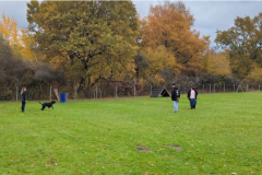 Screenshot_20251104_133923_Photos