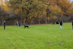 Screenshot_20251104_133937_Photos