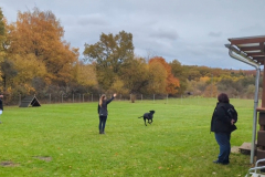 Screenshot_20251104_134132_Photos