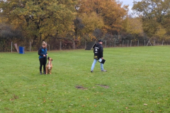 Screenshot_20251104_134150_Photos