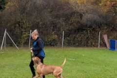 Screenshot_20251104_134217_Photos