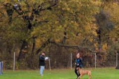 Screenshot_20251104_134234_Photos