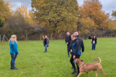 Screenshot_20251104_134336_Photos