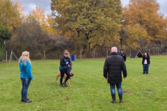 Screenshot_20251104_134400_Photos