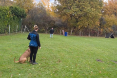 Screenshot_20251104_134453_Photos