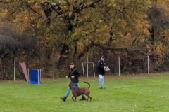 Screenshot_20251104_134513_Photos