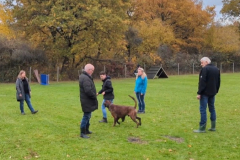 Screenshot_20251104_134548_Photos