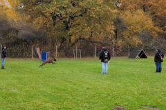 Screenshot_20251104_134612_Photos