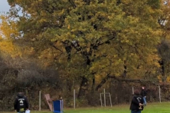 Screenshot_20251104_134713_Photos