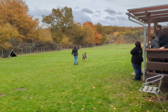 Screenshot_20251104_134807_Photos