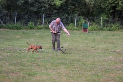 20190710191357_IMG_4967