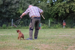 20190710191442_IMG_4978