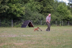 20190710191448_IMG_4982