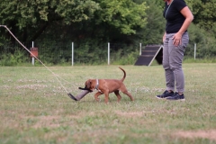 20190710191605_IMG_5010