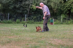 20190710191612_IMG_5013