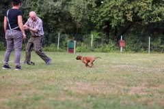 20190710191632_IMG_5015