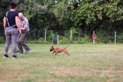 20190710191632_IMG_5016