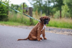 20190710192956_IMG_5040